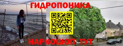 ешки Рязань